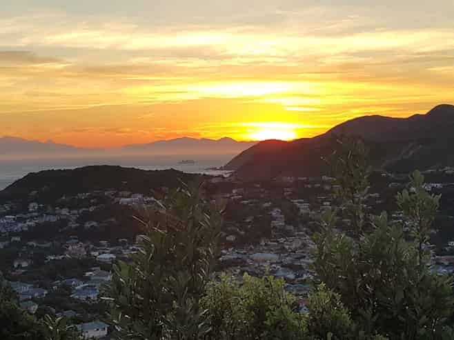Wellington - Address withheld