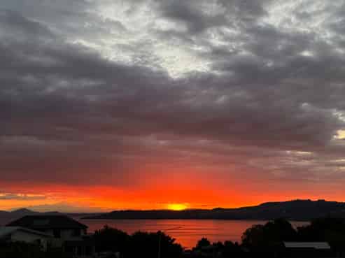 50 Birch Street, Hilltop