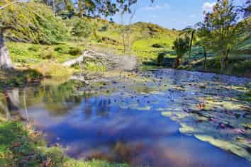 822 Motukawa Rd, Inglewood