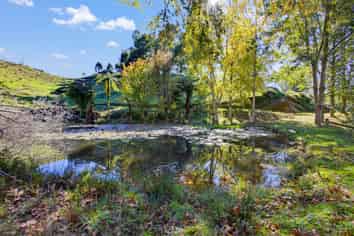 822 Motukawa Rd, Inglewood