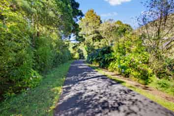 822 Motukawa Rd, Inglewood