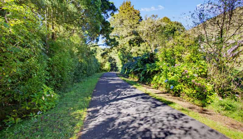 822 Motukawa Rd, Inglewood