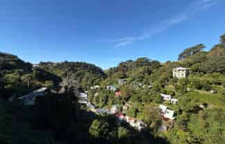 B/15 Mt Pleasant Rd, Aro Valley