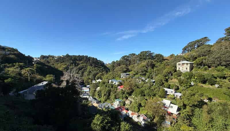 B/15 Mt Pleasant Rd, Aro Valley