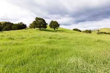 30C Te Ranga Road, Kaeo