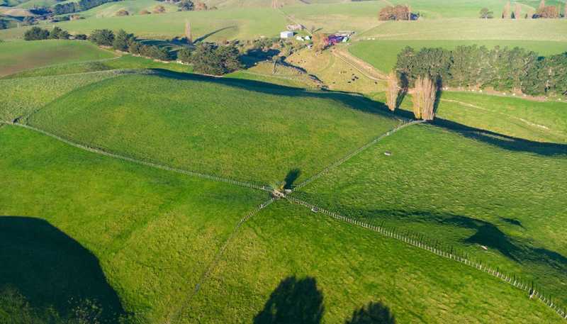 180 Tipapakuku Road, Dannevirke