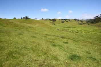 111 Hamlin Road, Pollok