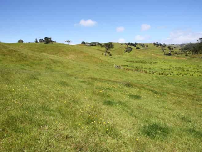 111 Hamlin Road, Pollok