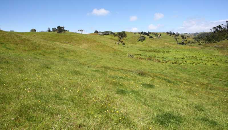 111 Hamlin Road, Pollok