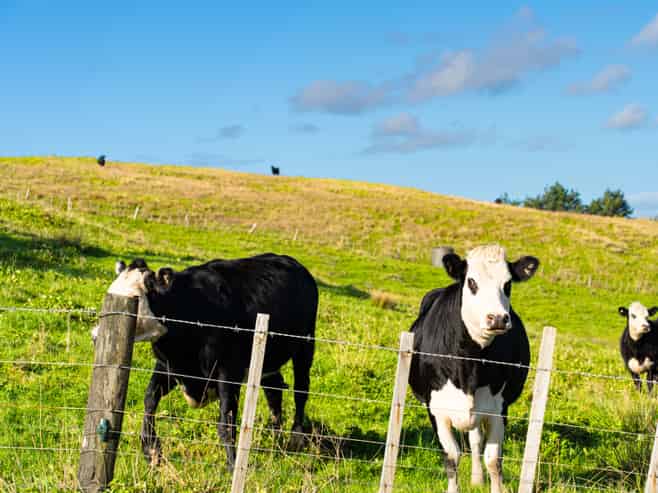 23A Kaitara Lane, Kaiwaka