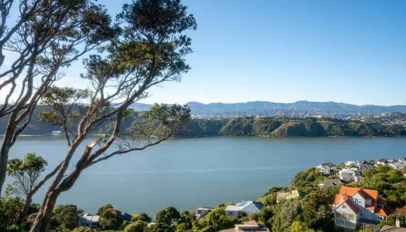 154 Grafton Road, Roseneath