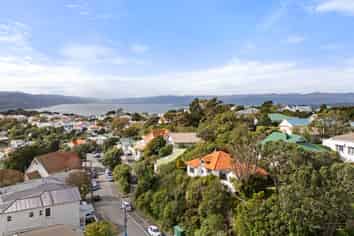 23 St Michaels Crescent, Kelburn