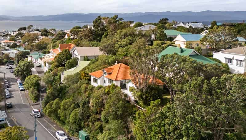 23 St Michaels Crescent, Kelburn