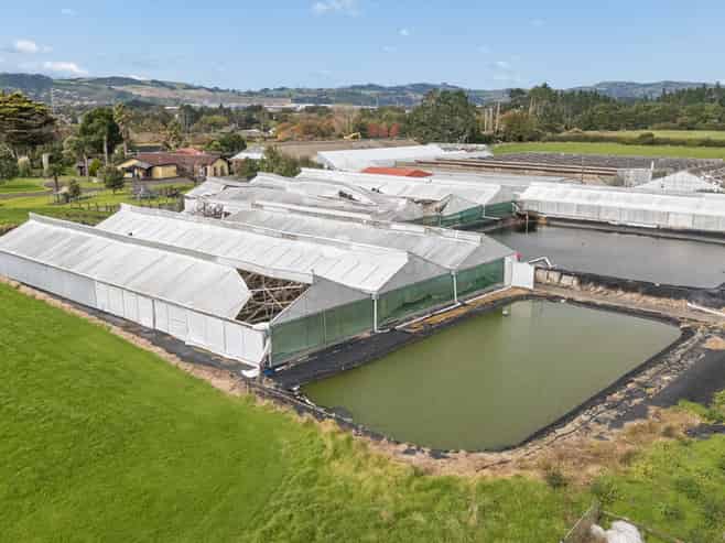 133 Jesmond Road, Drury