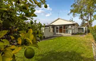 17 Nosworthy Street, Blenheim