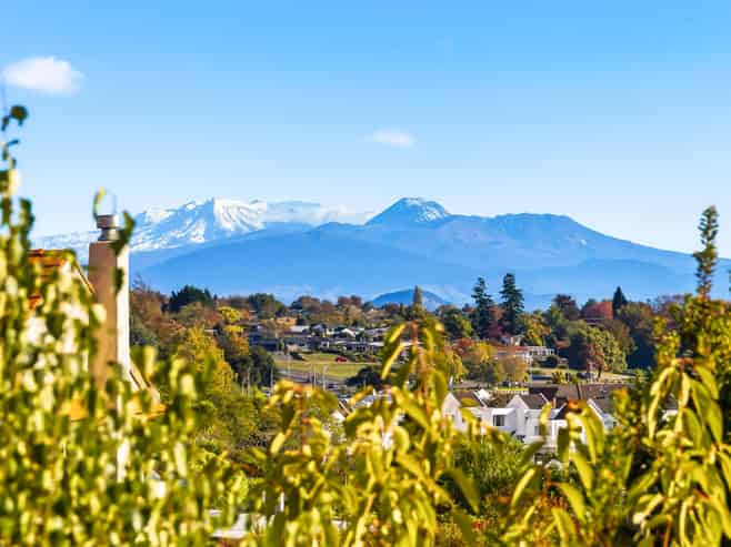 16 Harvey Street, Waipahihi