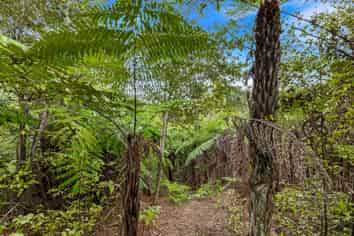 75 Glenvar Ridge Road, Long Bay