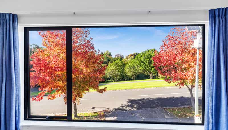 17 Norwood Drive, Flat Bush