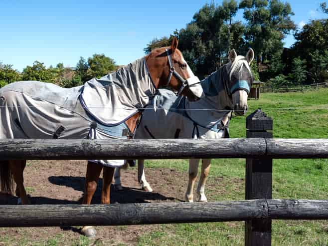 122 Hitiri Road, Kinloch