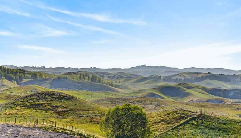 Lot 2, 1270 Taihape Road, Sherenden