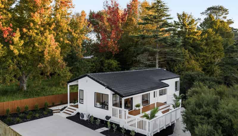 75a Birdwood Road, Swanson