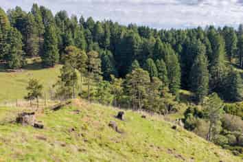  Leslie Road, Putaruru