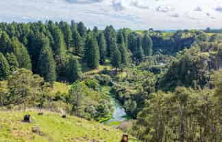  Leslie Road, Putaruru