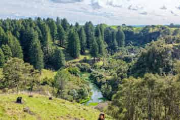  Leslie Road, Putaruru