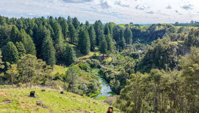  Leslie Road, Putaruru