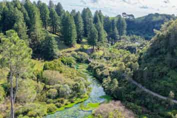  Leslie Road, Putaruru