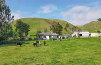 618 Te Weta Road, Waikite Valley