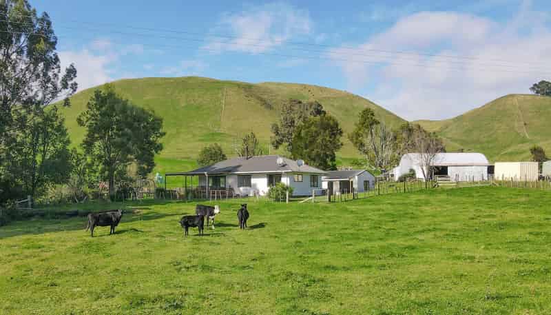 618 Te Weta Road, Waikite Valley
