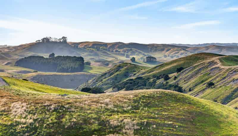 Lot 1, 1270 Taihape Road, Sherenden