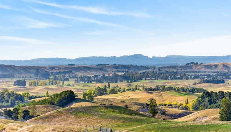 Lot 1, 1270 Taihape Road, Sherenden