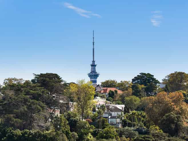 155 Arney Road, Remuera