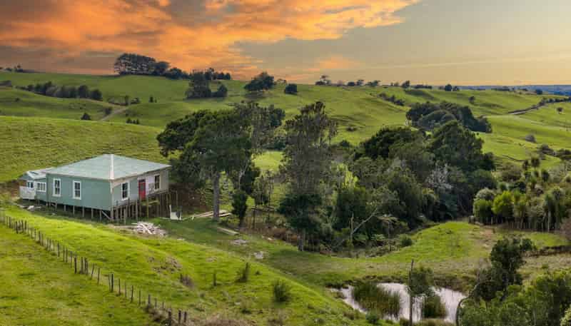 62 Cornes Road, Raglan