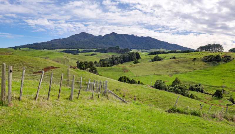 62 Cornes Road, Raglan