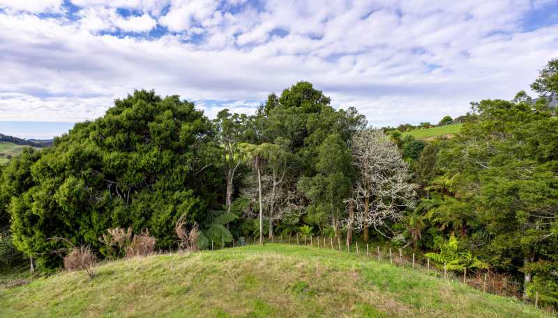 62 Cornes Road, Raglan