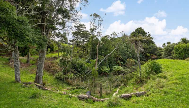 62 Cornes Road, Raglan