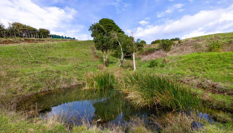 62 Cornes Road, Raglan