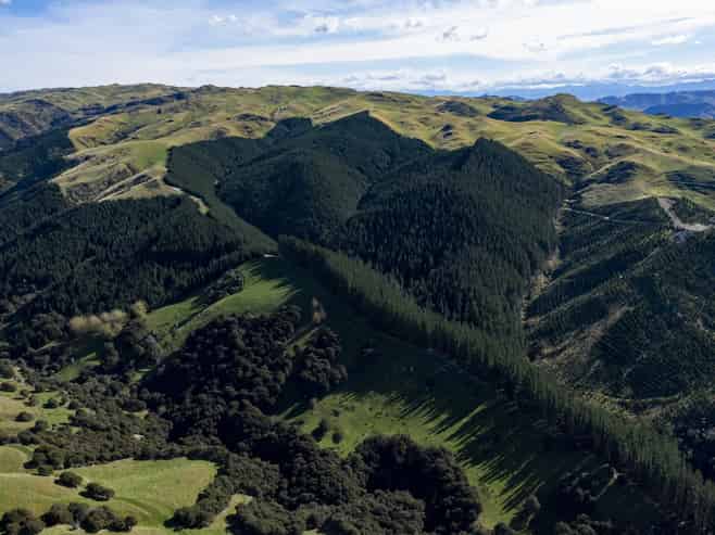 1463 Greta Road, Greta Valley