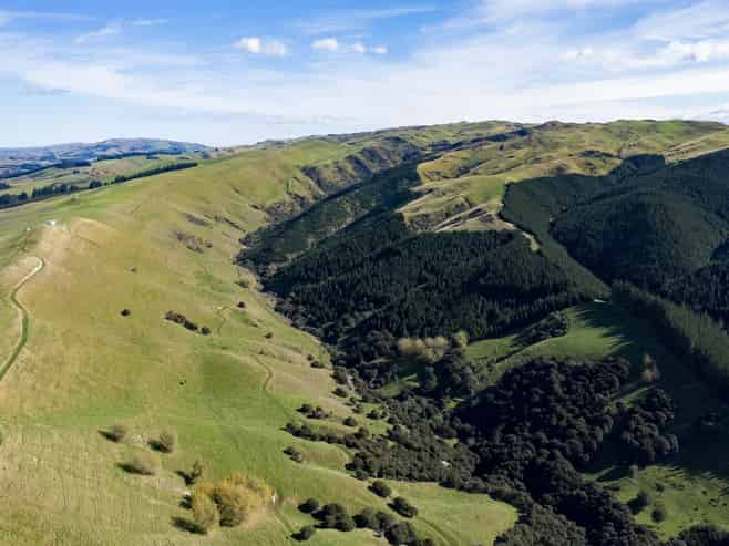 1463 Greta Road, Greta Valley