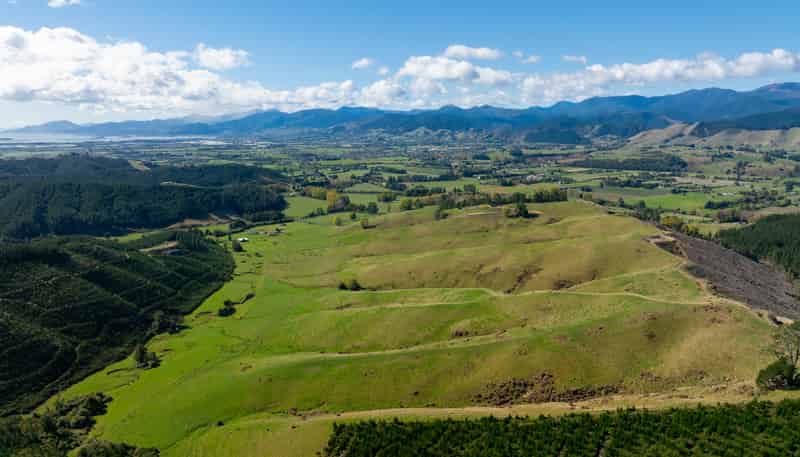 229 Teapot Valley Road, Brightwater