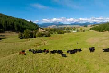 229 Teapot Valley Road, Brightwater