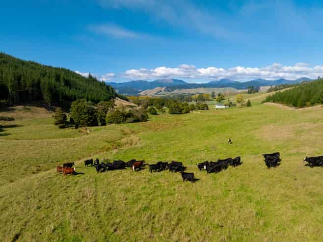 229 Teapot Valley Road, Brightwater