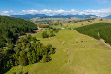 229 Teapot Valley Road, Brightwater