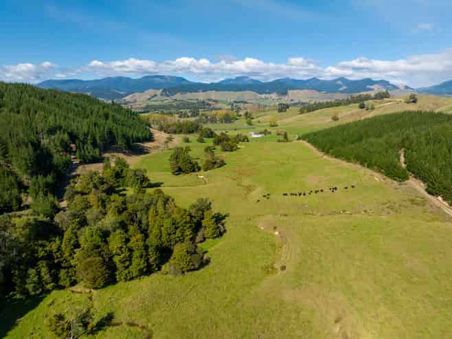 229 Teapot Valley Road, Brightwater