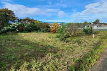 8 Roslyn Road, Levin