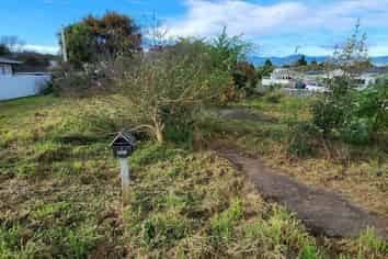 8 Roslyn Road, Levin