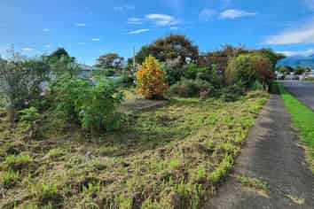 8 Roslyn Road, Levin